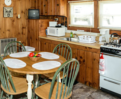 round kitchen table with four green chairs, wall of appliances behind set under brightly lit windows