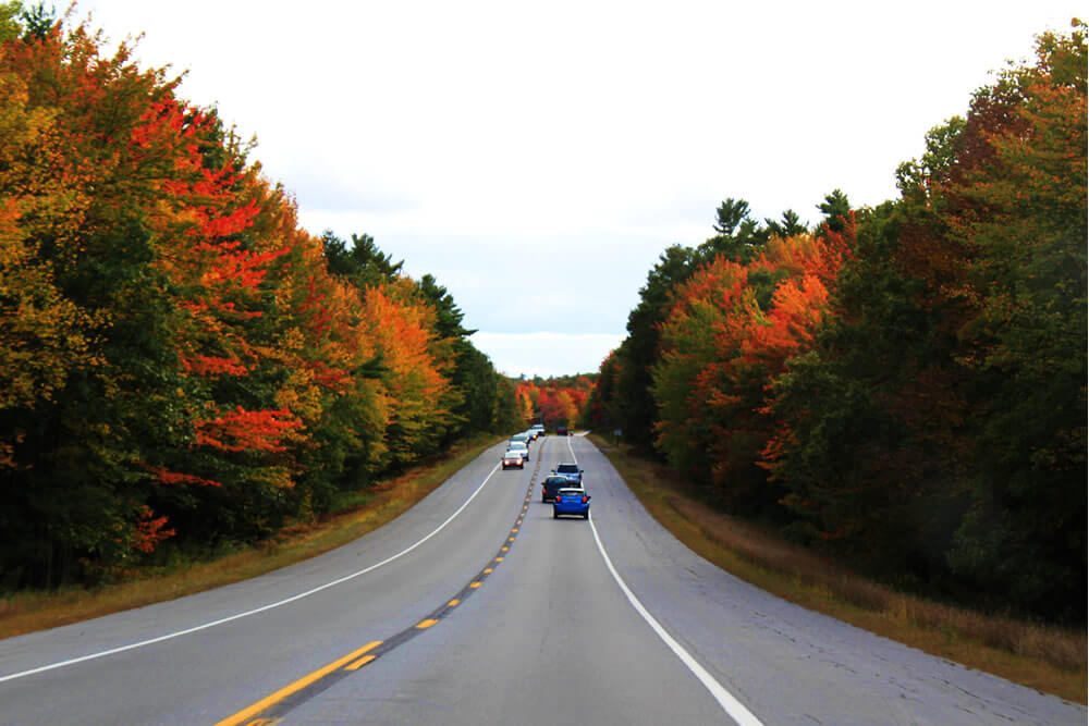 cars traveling both directions on a two-lane country road surrounded by fall foliage