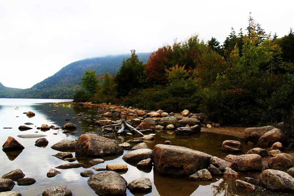 driftwood among rocks at the shoreline with pine green mountain across the pond